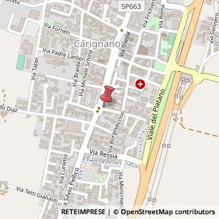 Mappa Via IV Novembre, 9, 10041 Carignano, Torino (Piemonte)