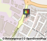 Calzature - Dettaglio Occhiobello,45030Rovigo