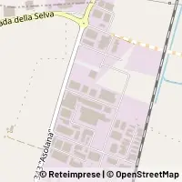 Map Torrile