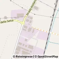 Map Torrile