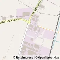 Map Torrile