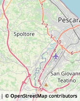 Articoli Sportivi - Dettaglio Pescara,65123Pescara