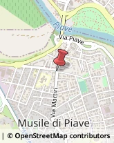 Cornici ed Aste - Dettaglio Musile di Piave,30024Venezia