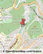 Allergologia - Medici Specialisti Trieste,34127Trieste