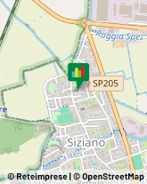 Autoscuole Siziano,27010Pavia