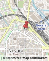 Piante e Fiori - Dettaglio Novara,28100Novara