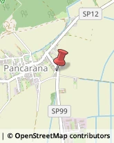 Ferro Pancarana,27050Pavia