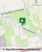 Locali, Birrerie e Pub,36060Vicenza