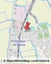 ,27010Pavia