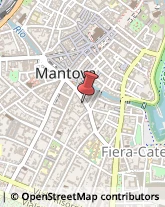 Feste - Organizzazione e Servizi Mantova,46100Mantova