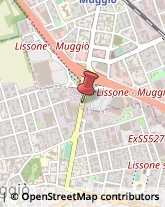 Giornalisti Lissone,20851Monza e Brianza