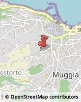 Emittenti Radiotelevisive Muggia,34015Trieste