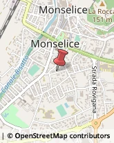 Logopedia Monselice,35043Padova