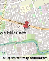 Animali Domestici - Centri Allevamento e Addestramento Nova Milanese,20834Monza e Brianza