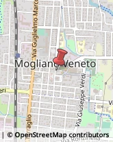 Demolizioni e Scavi Mogliano Veneto,31021Treviso