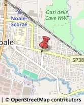 Articoli Sportivi - Dettaglio Noale,30033Venezia