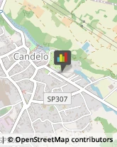 Naturopatia Candelo,13878Biella