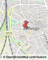 Assicurazioni Rovigo,45100Rovigo