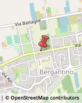 Officine Meccaniche Bergantino,45032Rovigo