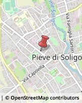 Ragionieri e Periti Commerciali - Studi Pieve di Soligo,31053Treviso