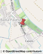 Trasporti Badia Pavese,27010Pavia