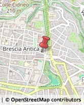 Articoli Sportivi - Dettaglio Brescia,25121Brescia