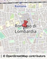 Cinema e Televisione - Distribuzione e Noleggio Film Romano di Lombardia,24058Bergamo