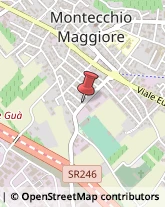 Trasporti Montecchio Maggiore,36075Vicenza