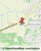 Autotrasporti Montebello della Battaglia,27054Pavia