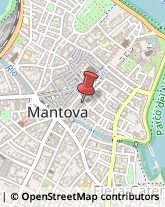 Pelletterie - Dettaglio Mantova,46100Mantova