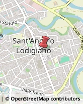 Articoli per Ortopedia Sant'Angelo Lodigiano,26866Lodi