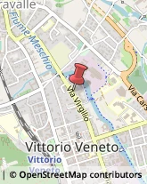 Istituti di Bellezza Vittorio Veneto,31029Treviso