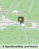 Colonie Elioterapiche ed Estive Roncobello,24010Bergamo