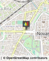 Pollame, Conigli e Selvaggina - Dettaglio Novara,28100Novara