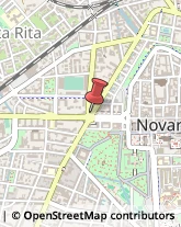 Pollame, Conigli e Selvaggina - Dettaglio Novara,28100Novara