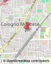 Calze e Collants - Produzione Cologno Monzese,20093Milano