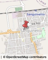 Autofficine e Centri Assistenza Sanguinetto,37058Verona