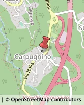 Erboristerie Brovello-Carpugnino,28833Verbano-Cusio-Ossola