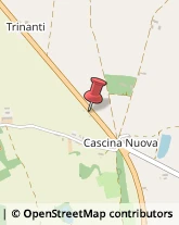 ,15046Alessandria