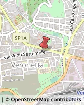 Feste - Organizzazione e Servizi Verona,37129Verona