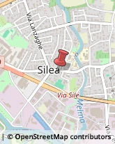 Macellerie Silea,31057Treviso