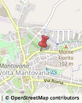 Frutta e Verdura - Dettaglio Volta Mantovana,46049Mantova