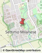 Conserve Settimo Milanese,20019Milano