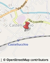 Pelliccerie Castellucchio,46014Mantova