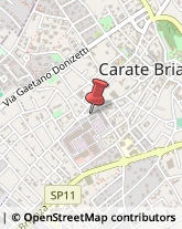 Latte e Derivati Carate Brianza,20841Monza e Brianza