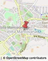 Erboristerie Volta Mantovana,46049Mantova