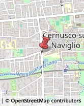 Tour Operator e Agenzia di Viaggi Cernusco sul Naviglio,20063Milano