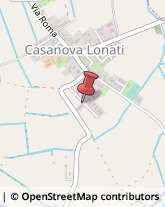 Consulenze Speciali Casanova Lonati,27041Pavia