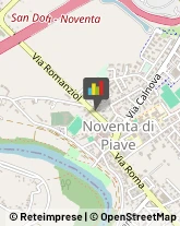 Articoli per Ortopedia Noventa di Piave,30020Venezia