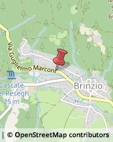 Pelletterie - Ingrosso e Produzione Brinzio,21030Varese